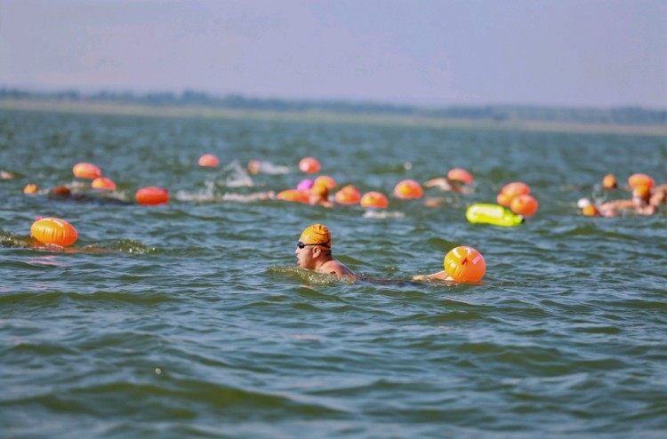 手参与, 赞不绝口 手参与, 赞不绝口