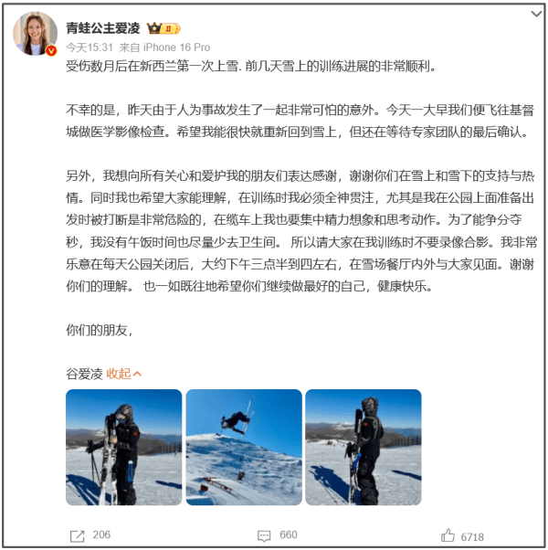 雪上和雪下, 我的朋友们