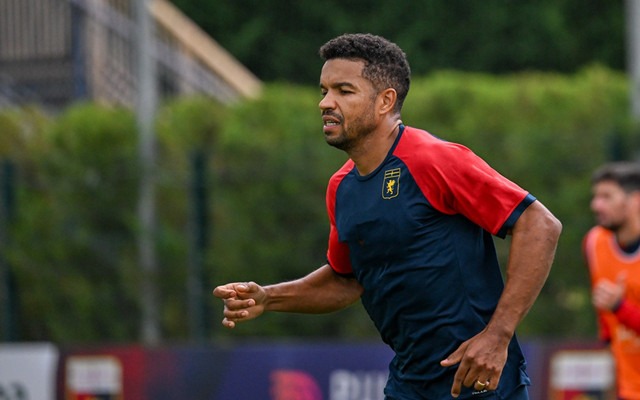 img, 属一般, 依然毫无作